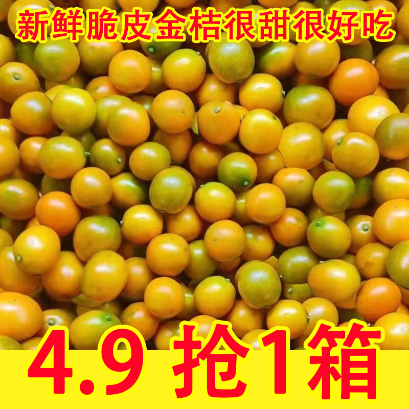 广西融安脆皮金桔5斤小金橘新鲜水果当季现摘蜜金柑孕妇整箱包邮