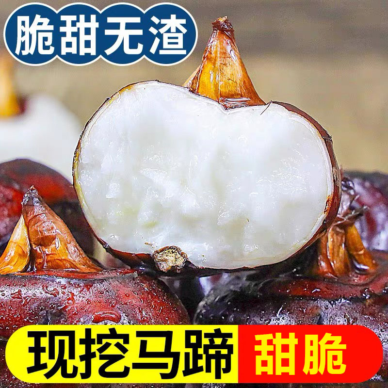 湖北新鲜马蹄5斤荸荠当季水果栗梨农家自种脆甜饽荠整箱