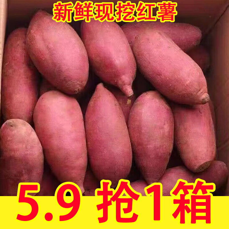 板栗红薯蜜薯9斤甜新鲜地瓜沙地番薯粉糯包邮香薯自种山芋