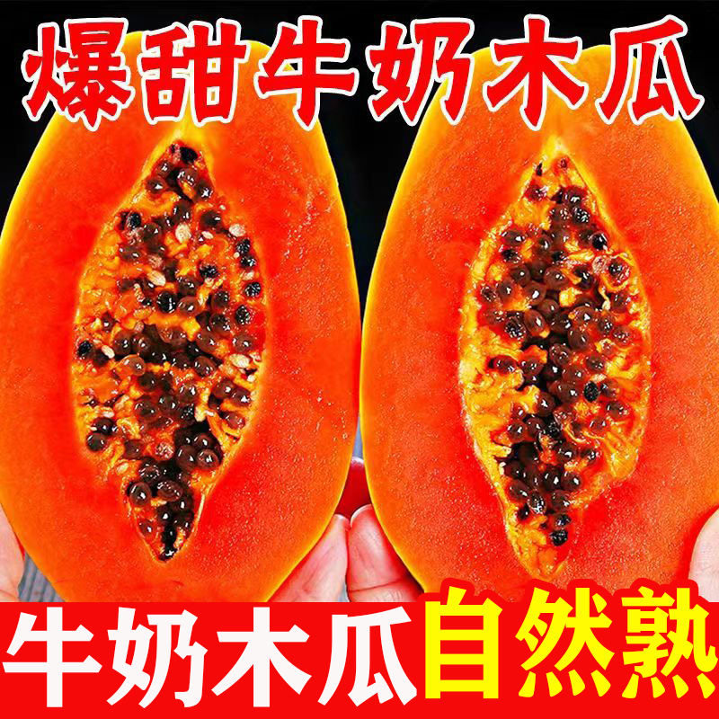 广西牛奶冰糖红心木瓜9斤装新鲜采摘直发当季水果软嫩多汁树上熟