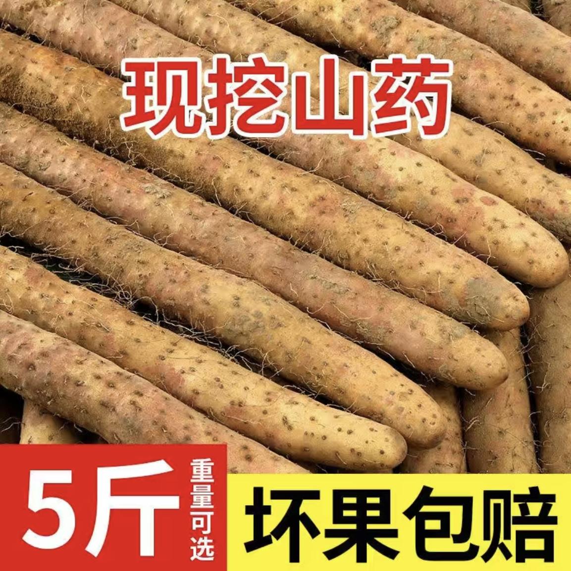 新鲜山药5斤装 正宗铁棍山药河南焦作垆土怀山药铁杆淮山药包邮