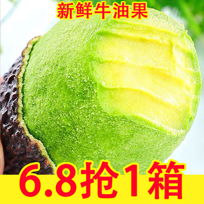 新鲜云南牛油果水果当季鳄梨大果孕妇宝宝即食整箱速发宝宝辅食
