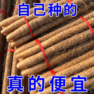 正宗铁棍山药铁杆淮山怀山药新鲜5斤特级整箱非焦作温县5包邮