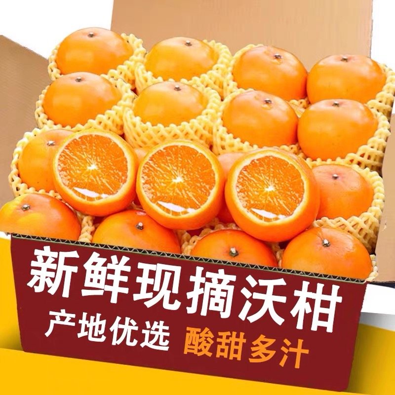 正宗纯甜沃柑9斤橘子新鲜水果当季整箱皇帝蜜柑橘糖桔子丑,水产肉类/新鲜蔬果/熟食,桔子,淘宝优惠券,粉丝福利购,淘宝优惠卷