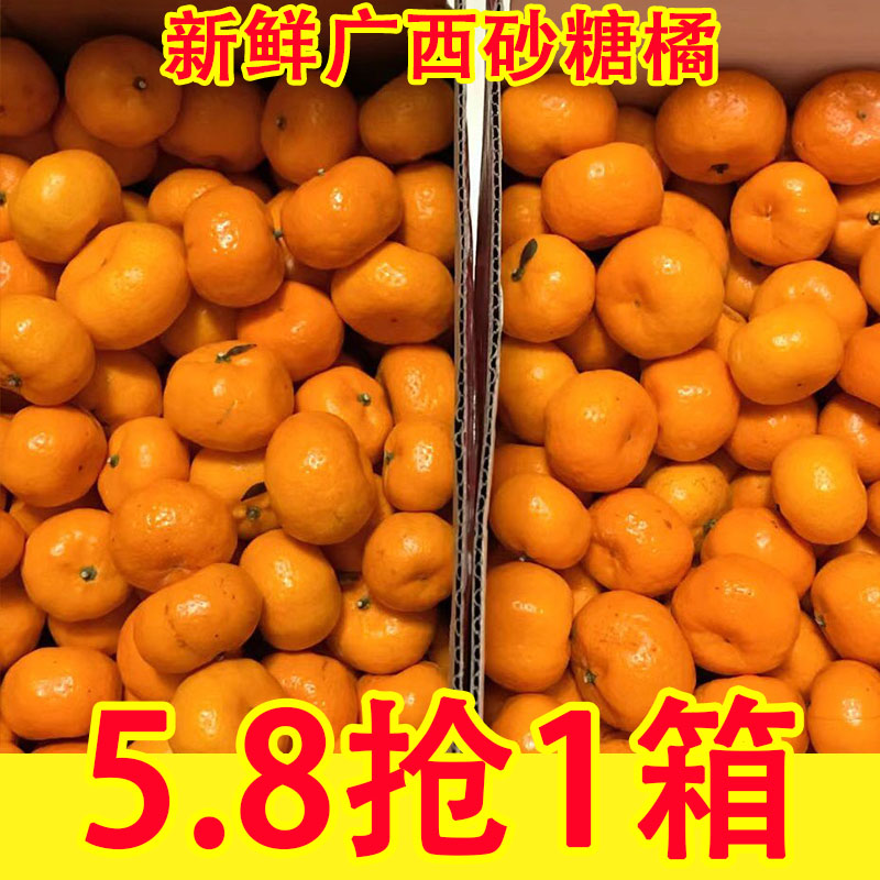 广西金秋砂糖橘5斤沙糖桔新鲜应当季水果小蜜橘桔子现摘现发红桔