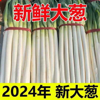 山东正宗章丘新鲜铁杆大葱9斤蔬菜蘸酱农家现挖包邮甜葱嫩葱新5斤