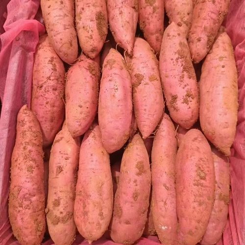 新鲜红薯整箱包邮农家香甜黄心地瓜沙地西瓜红蜜薯板栗小番薯