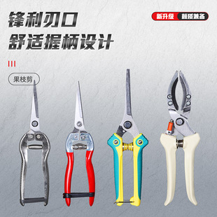 果枝剪园林果树专用剪刀修树枝多功能摘果剪刀工具