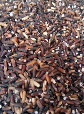 海南特LMY紫米现磨新米黑米农家粮粥粥蒸饭真包装0色杂.5kg空袋