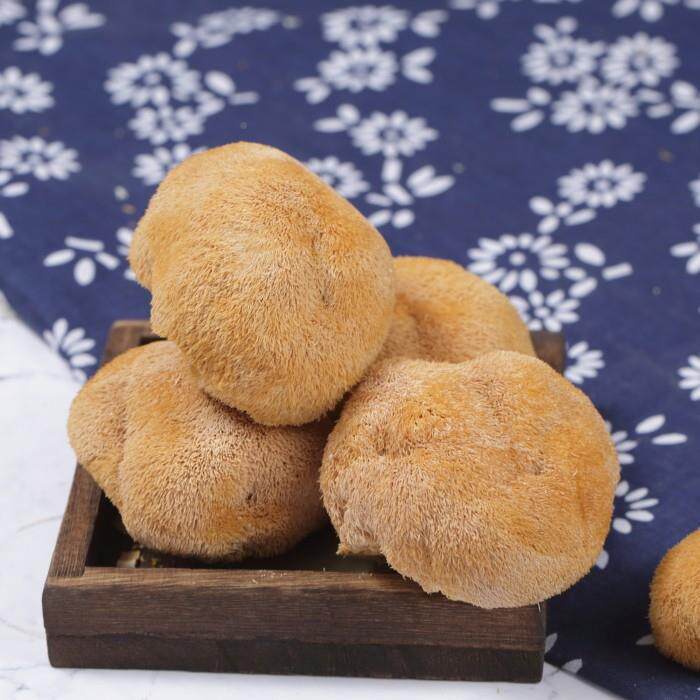 特级菌猴菇干 干货500g包邮东北蘑菇猴头无头菇UKG硫农家菇