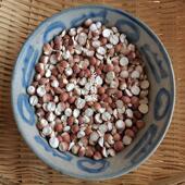 南野生芡0实干货AJL50g半开煮农家鸡头米云鸡米头欠实易鸡头苞鸡