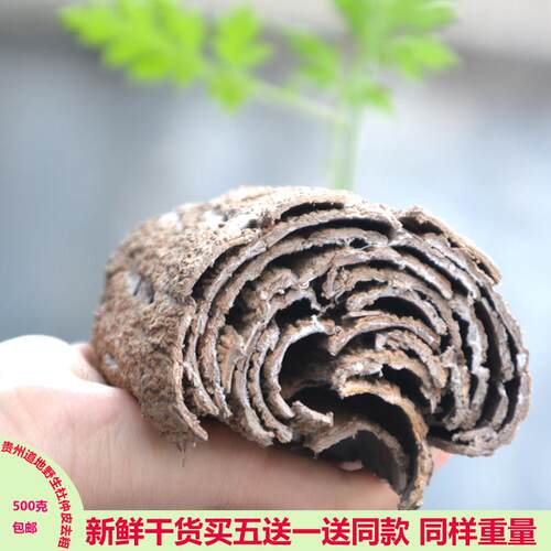 贵思州野生老树杜仲皮去粉WHU粗皮可磨扯丝皮丝棉皮玉仲丝皮500g