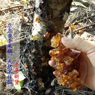 农家自采天然g浆食用野生桃胶桃桃脂桃花泪QQM500米可搭皂角雪燕