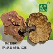 深山老倌纯粹野生EFZ灵包芝特大个赤芝050克磨灵芝粉货邮云新南特