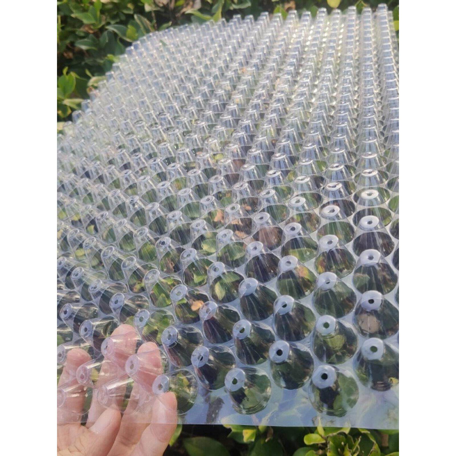 免揭育秧盘机插平盘秧盘水稻育苗盘9寸软盘插秧机秧盘农用秧盆