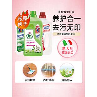 大公鸡管家 地板清洁剂去污家用实木家具复合地板清洁剂750ml