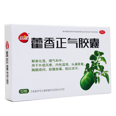 远健藿香正气胶囊0.3g*12粒/盒脾胃不和腹泻理气和中脘腹