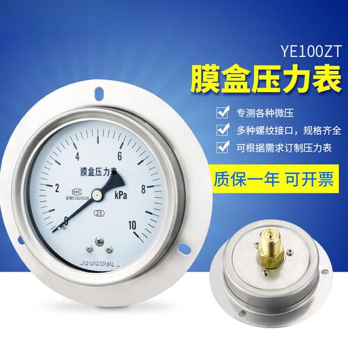 轴向带边膜盒压力表YE100ZT