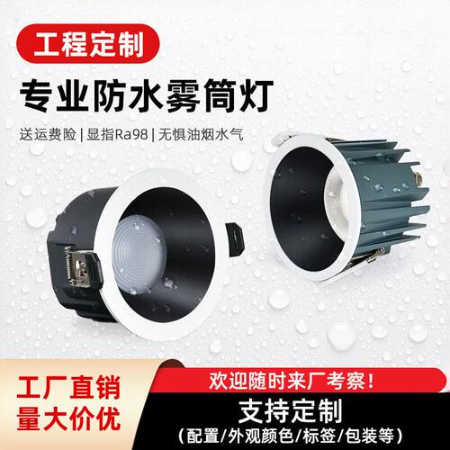 工程定制防水筒灯嵌入式射灯