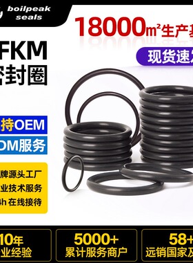 【现货】线径2.62mm耐高温密封圈替代kalrez6375/707 5全氟醚O型