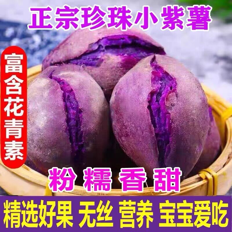 当季越南小紫薯珍珠迷你小紫薯新鲜特级粉糯地瓜现挖时令沙地番薯