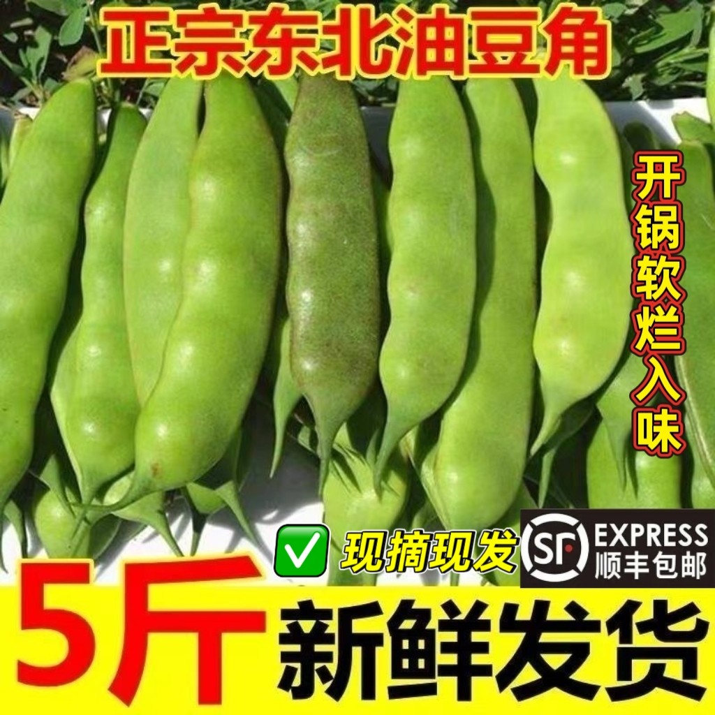 东北油豆角现摘一点红顺丰京东图片