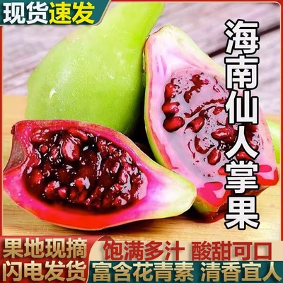海南特产仙人掌果果实新鲜水果