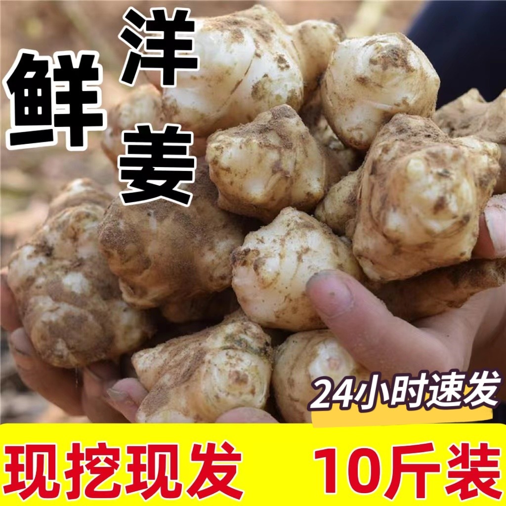 2025新鲜现挖洋姜野鬼子姜不辣农家酱菜腌菜泡菜甜阳菊芋洋姜种籽,水产肉类/新鲜蔬果/熟食,其它,淘宝优惠券,粉丝福利购,淘宝优惠卷