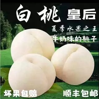 顺丰蒙阴奶油大白桃当季水蜜桃脆甜桃白毛桃非白凤桃新鲜水果整箱