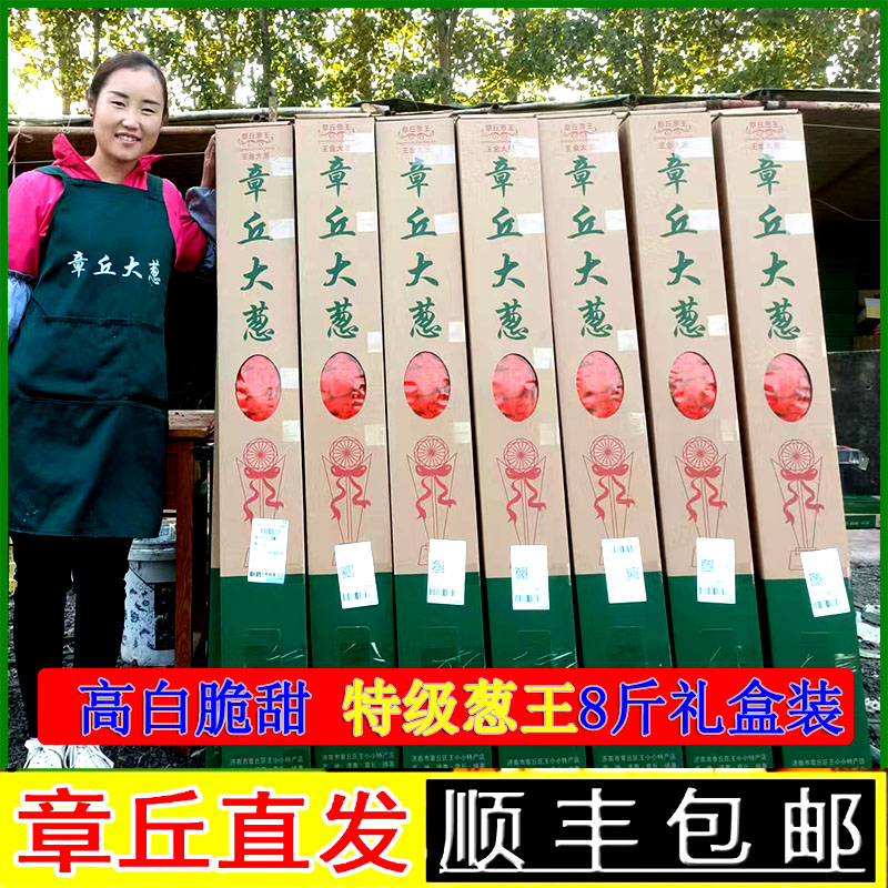 正宗章丘大葱馋味鼠葱王2米高