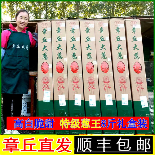 正宗章丘大葱馋味鼠葱王2米高