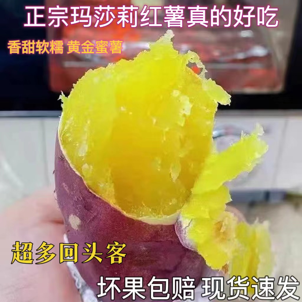 新鲜农家自种沙地玛莎莉红薯