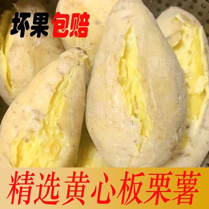 广东潮汕正宗白皮黄心板栗薯粉糯香甜农家自种新鲜鸡蛋黄番薯地瓜图片
