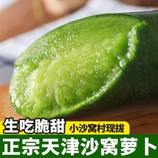 天津沙窝萝卜天星2号正宗青绿水果罗卜新鲜蔬菜生吃脆甜产地直发9