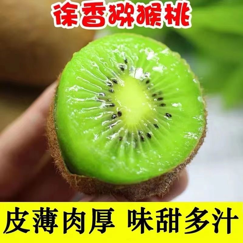 周至陕西徐香馋味鼠绿心猕猴桃