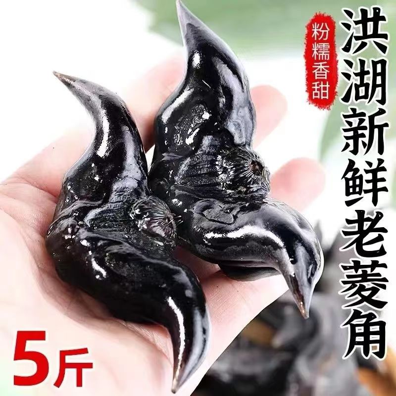 新鲜菱角洪湖特产老菱角