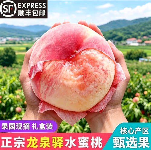 顺丰正宗四川成都龙泉水蜜桃香甜