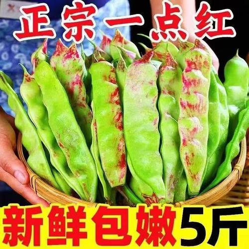 东北油豆角新鲜蔬菜正宗一点红油豆角九月青紫花扁豆角黄金钩