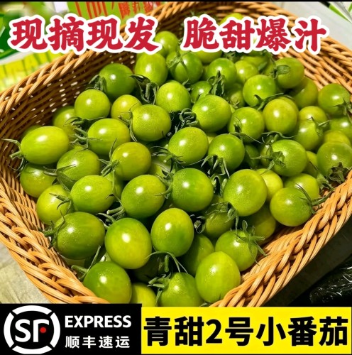 顺丰正宗山东潍坊寿光青甜清甜2号小番茄西红柿纯甜绿色番茄现摘