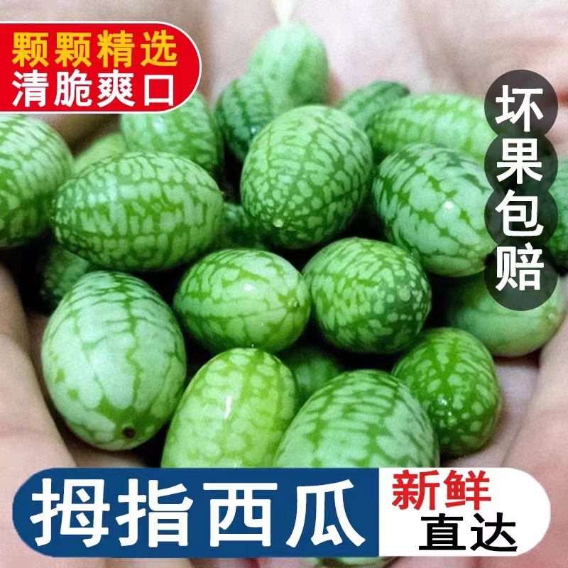 特色水果馋味鼠脆香可口
