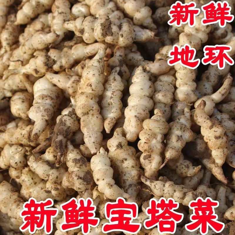 地环新鲜鲜挖现发农家泡菜