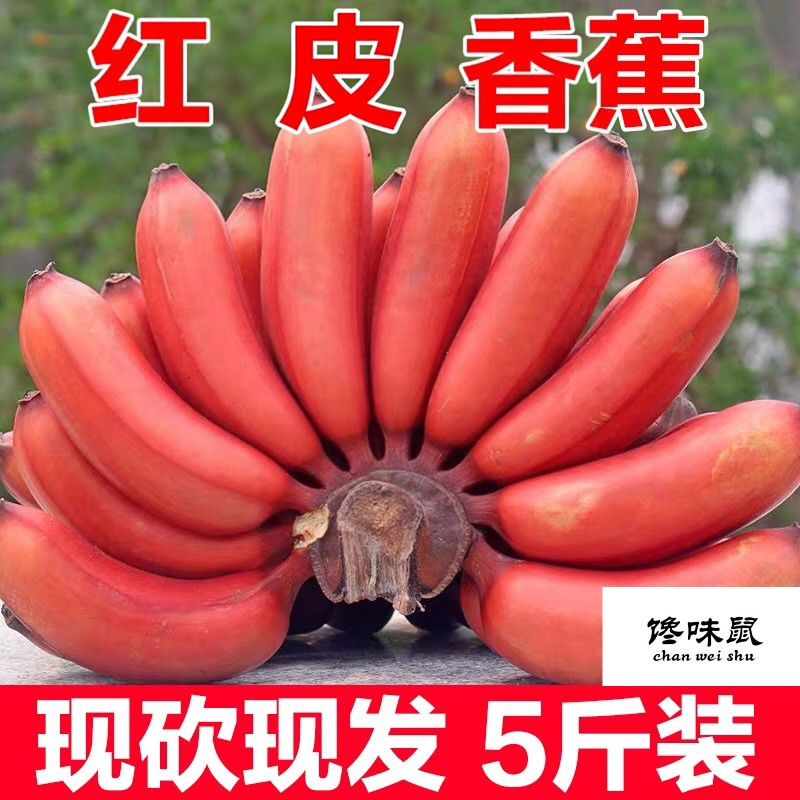漳州红皮香蕉新鲜当季自然熟小红香焦红色皮粉蕉芭蕉水果整箱5斤
