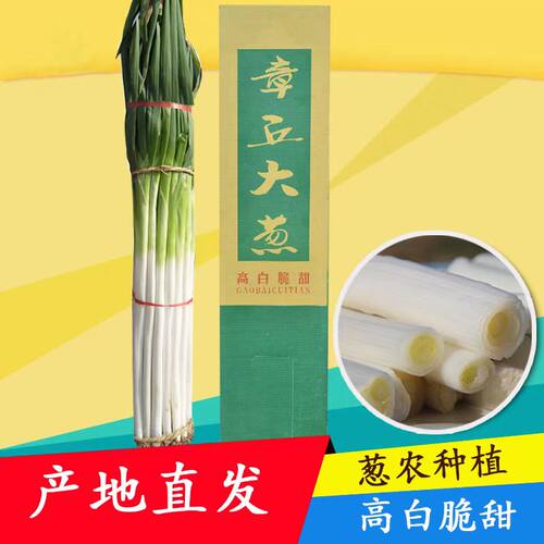 正宗章丘大葱铁杆旗舰店顺丰包邮