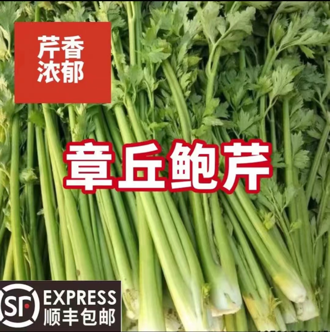 顺丰章丘鲍芹山东特产