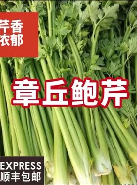 顺丰到家山东特产章丘鲍芹菜脆嫩