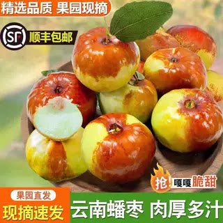 云南蟠枣新鲜现摘蜜罐枣非大荔冬枣脆甜青枣孕妇水果当季大果整箱