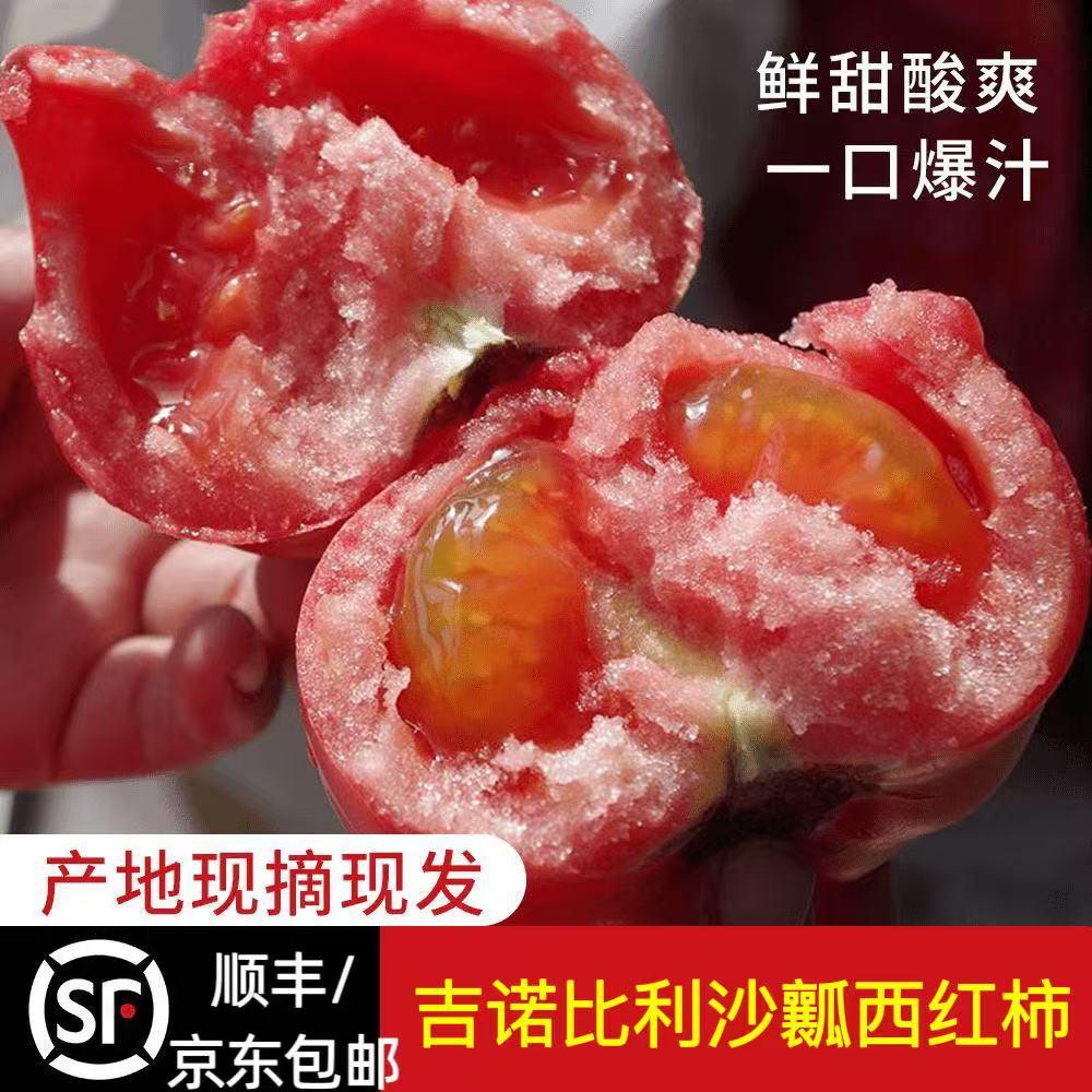 正宗山东寿光沙瓤生吃西红柿新鲜现摘番茄酸甜皮薄面顺丰