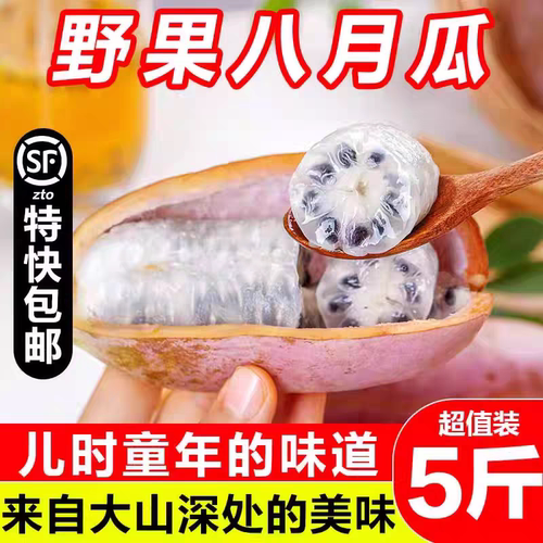 新鲜水果八月炸果现摘九月黄