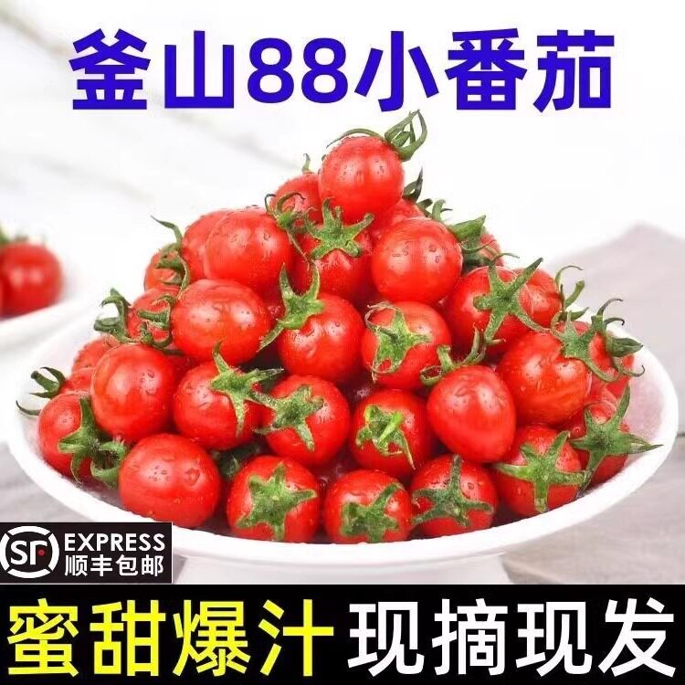 【顺丰】新鲜釜山88玲珑小番茄樱桃圣女果小柿子迷你现摘孕妇水果