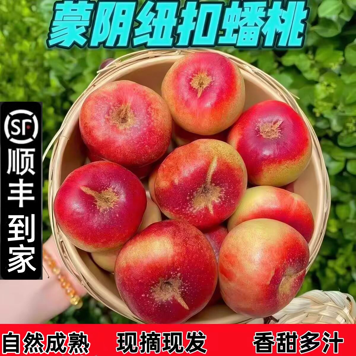 顺丰山东沂蒙山纽扣油蟠桃金钱油蟠桃迷你小油蟠桃纯甜香甜小油蟠